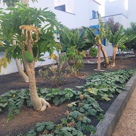 Nenita Apartment Caleta De Fuste Exterior foto